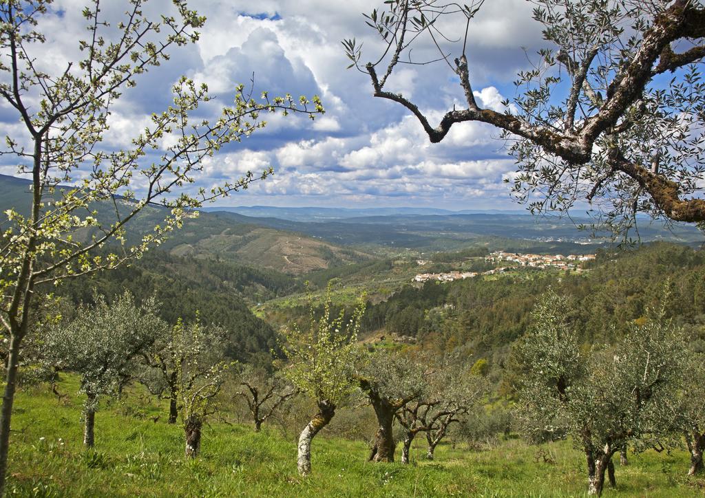 Cerdeira 12 Meses Naturalmente المظهر الخارجي الصورة